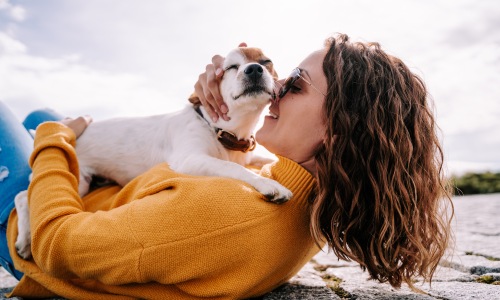 Local Pet Shops Cover Image