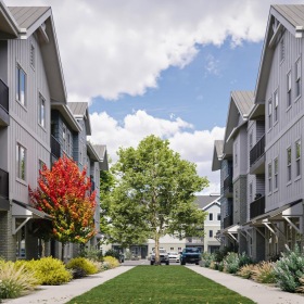 a street between buildings